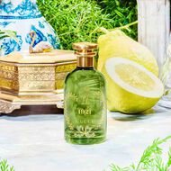 faces ذا ألكيميست جاردن 1921 أو دو برفان 100مل