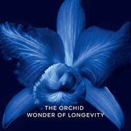 Orchidee Imperiale The Mask faces orchidee imperiale the mask