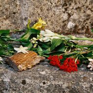 Gucci Bloom Profumo di Fiori For Her Eau de Parfum faces gucci bloom profumo di fiori for her eau de parfum