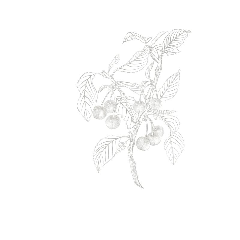 فان كليف اند اربلز مونلايت تشيري