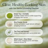 faces fresh green rice mochi cleanser