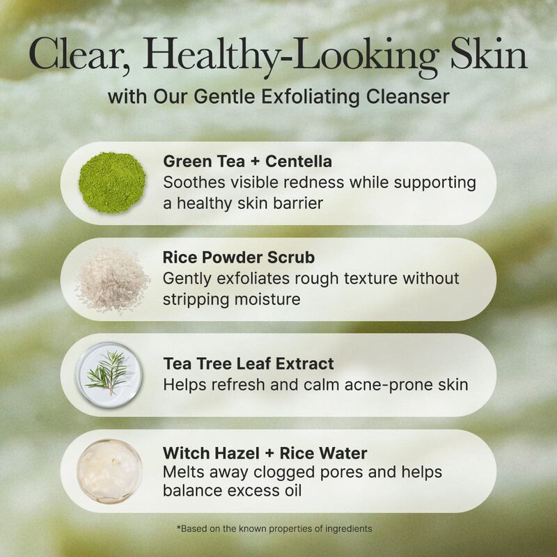 arencia fresh green rice mochi cleanser