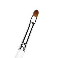 فرشاة الشفاه faces فرشاة الشفاه