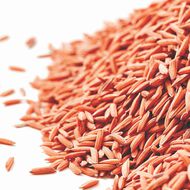 شامبو سوبر سترينث لإصلاح تلف وتكسر الشعر faces شامبو سوبر سترينث لإصلاح تلف وتكسر الشعر