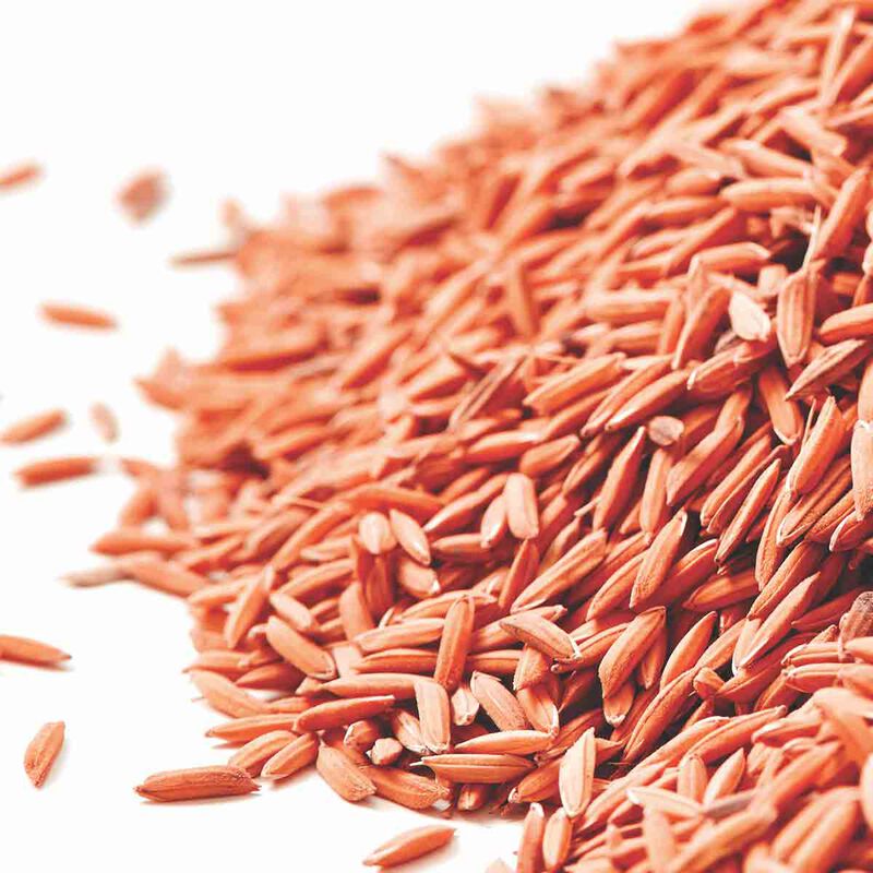 fredericfekkai شامبو سوبر سترينث لإصلاح تلف وتكسر الشعر