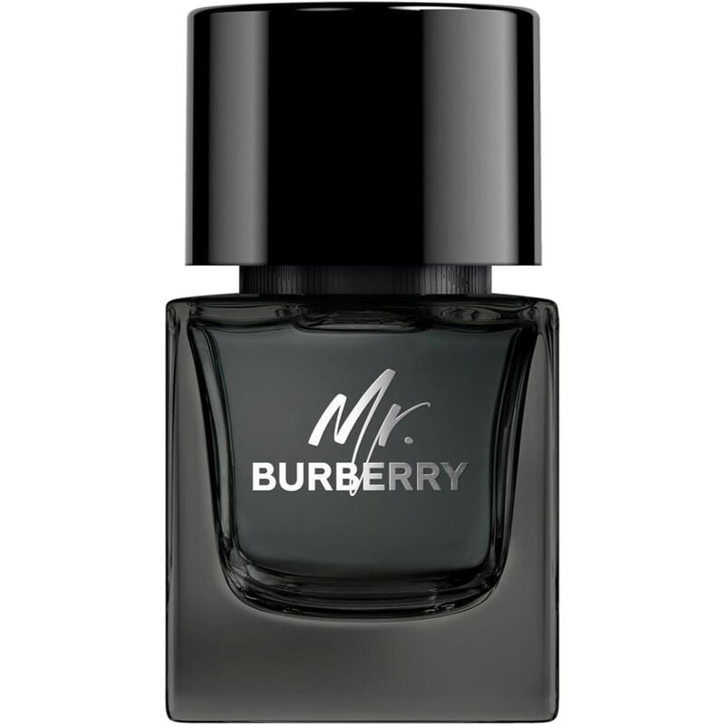 burberry mr. burberry eau de parfum