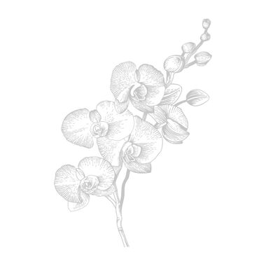 faces orchid leather