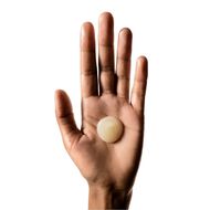 faces شامبو أبسولوت ريبير