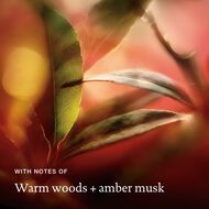 faces velvet amber advanced clean dry shampoo