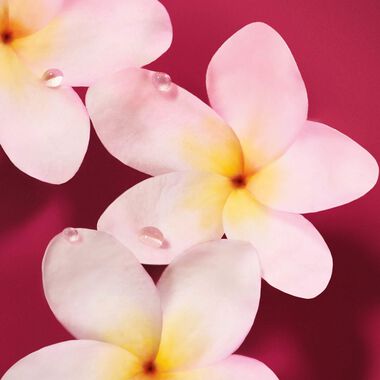 faces عطر باور أوف يو أو دو بارفان