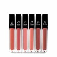 Liquid Lipstick faces liquid lipstick