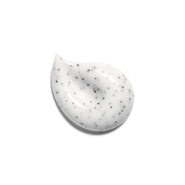 LE MASQUE CAMELLIA EXFOLIATING MASK faces le masque camellia exfoliating mask