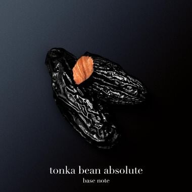 faces عطر سترونجر ويذ يو أو دو تواليت