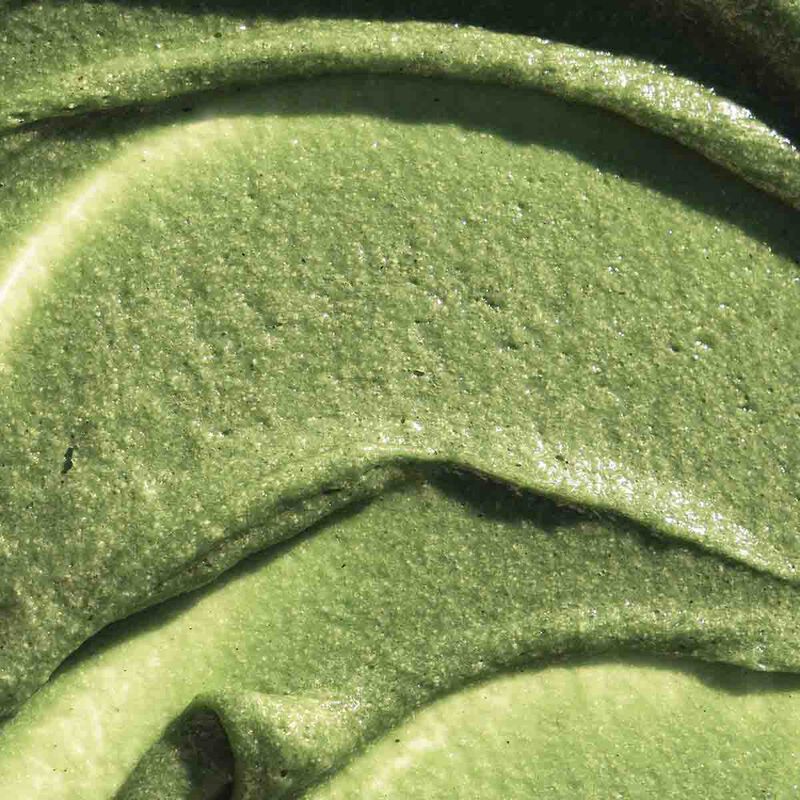 kate somerville exfolikate resurfacing body scrub