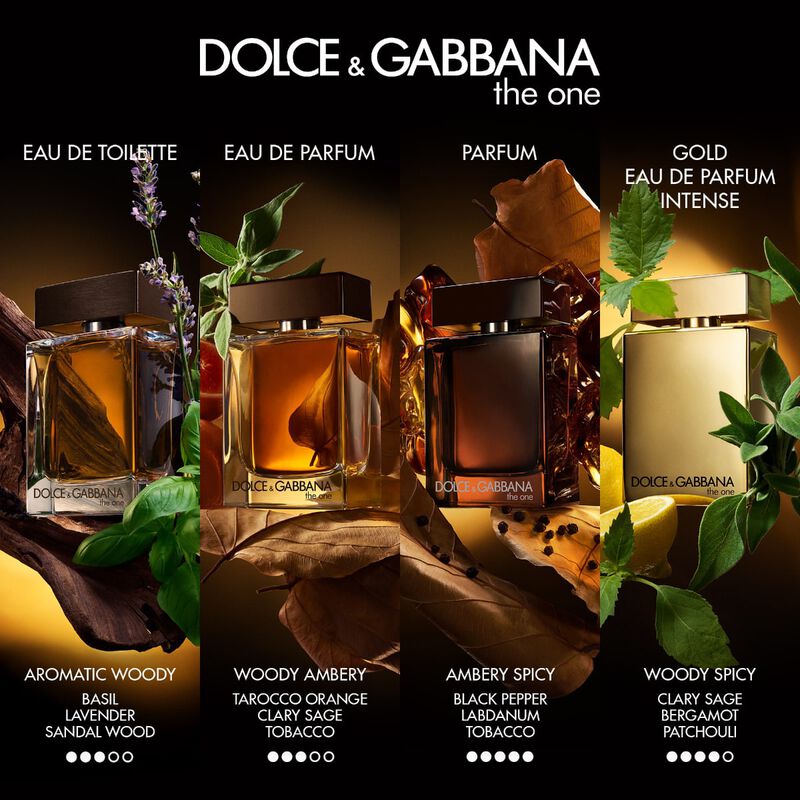 dolce & gabbana the one parfum