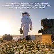 faces abeille royale youth watery oil