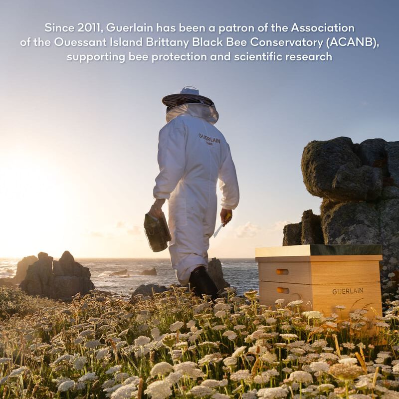 guerlain abeille royale youth watery oil