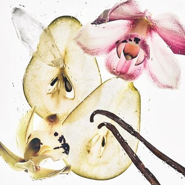 faces نيود فانيلا بخاخ عطري للشعر والجسم