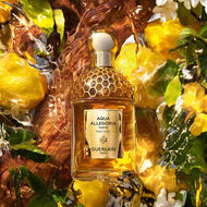 faces aqua allegoria forte oud yuzu