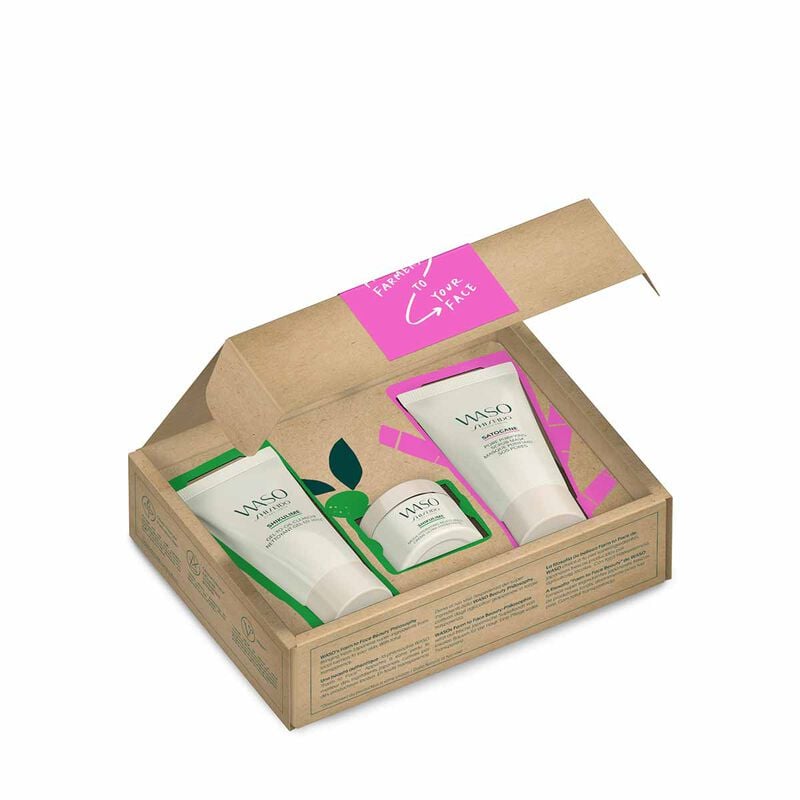 shiseido waso pore care kit