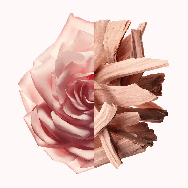 جيفنشي إريزيستبل نيود ڤيلڤت