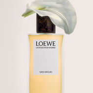 faces بريمافيرا إن إل ميركادو دي سان ميغيل