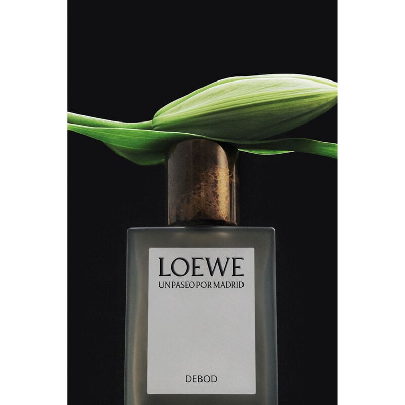 loewe un paseo por madrid debod