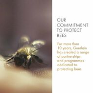 faces abeille royale fortifying lotion with royal jelly