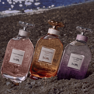 faces كوتش دريمز مونلايت