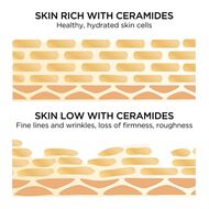 سيروم السيراميد اليومي المتقدم لاستعادة شباب البشرة faces سيروم السيراميد اليومي المتقدم لاستعادة شباب البشرة