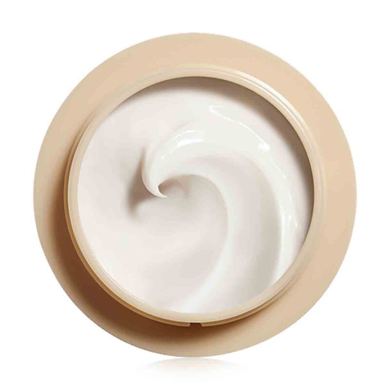 shiseido waso giga hydrating rich face cream 50ml