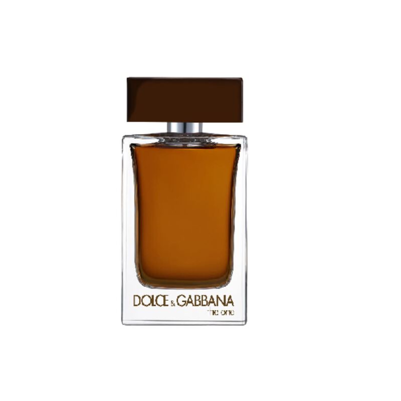 dolce & gabbana the one