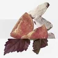 Hermes Eau Des Merveilles Elixir EDP 100ml faces hermes eau des merveilles elixir edp 100ml