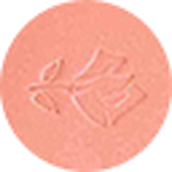faces blush subtil 03 sorbet de corail