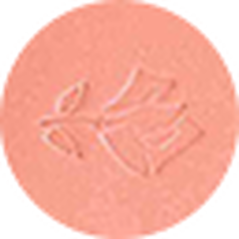 لانكوم blush subtil 03 sorbet de corail