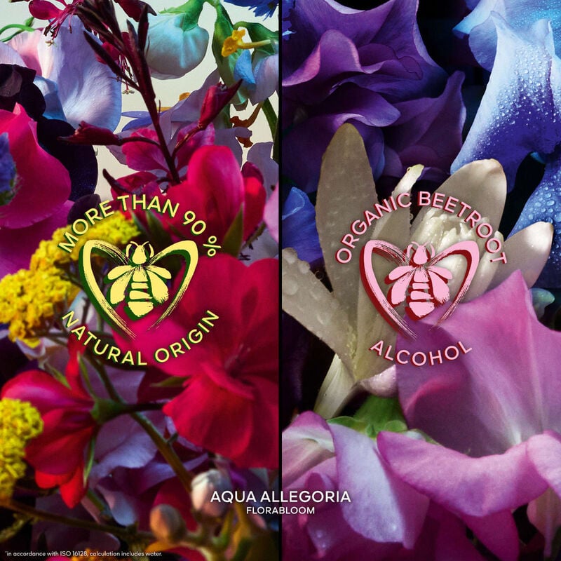 جيرلان آبسولو أليغوريا فلورابلوم