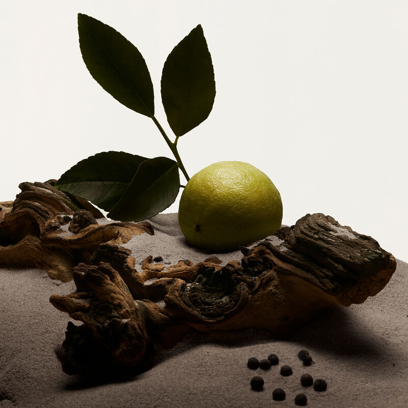 بربري عطر هيرو أو دو تواليت للرجال