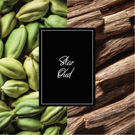 عطر ستار عود أو دو بارفان faces عطر ستار عود أو دو بارفان