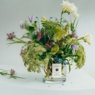 faces peony   blush suede scented candle