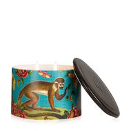 faces street mythology large spider orchid and bamboo wax fill candle