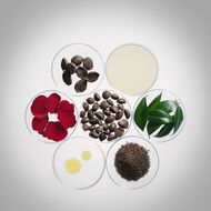 faces ultimune power infusing concentrate 4 0