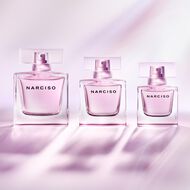 نارسيسو راديانت faces نارسيسو راديانت