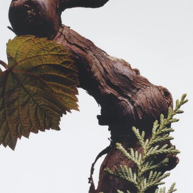 faces شمعة عطرية سايبريس آند غرايب فاين