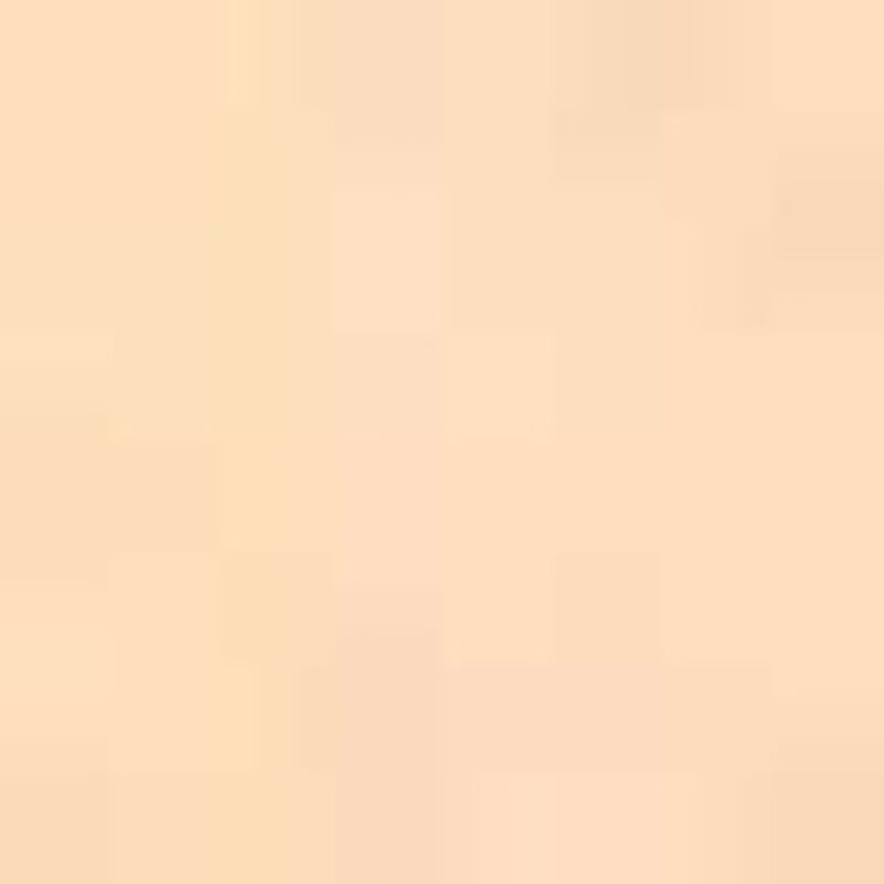 estee lauder double wear stayinplace matte powder foundation