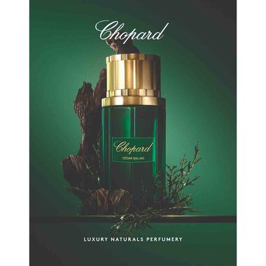 faces malaki cedar eau de parfum