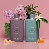 faces غيلتي لاف إيديشن