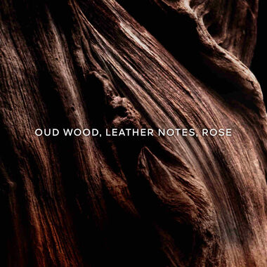 faces ابسولو أليجوريا عود إيسنسيال