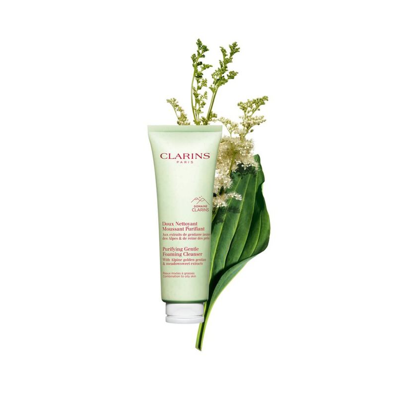clarins purifying gentle foaming cleanser