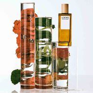 faces بور أوم أو دو تواليت 100مل عبوة 2021