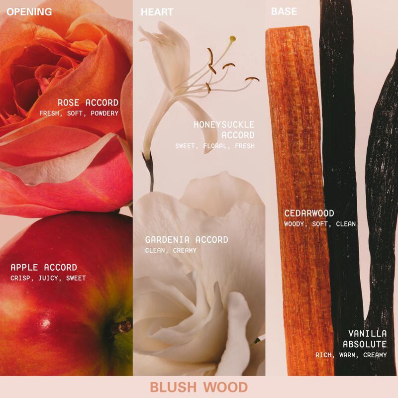 kylie cosmetics mood stones collection blush wood